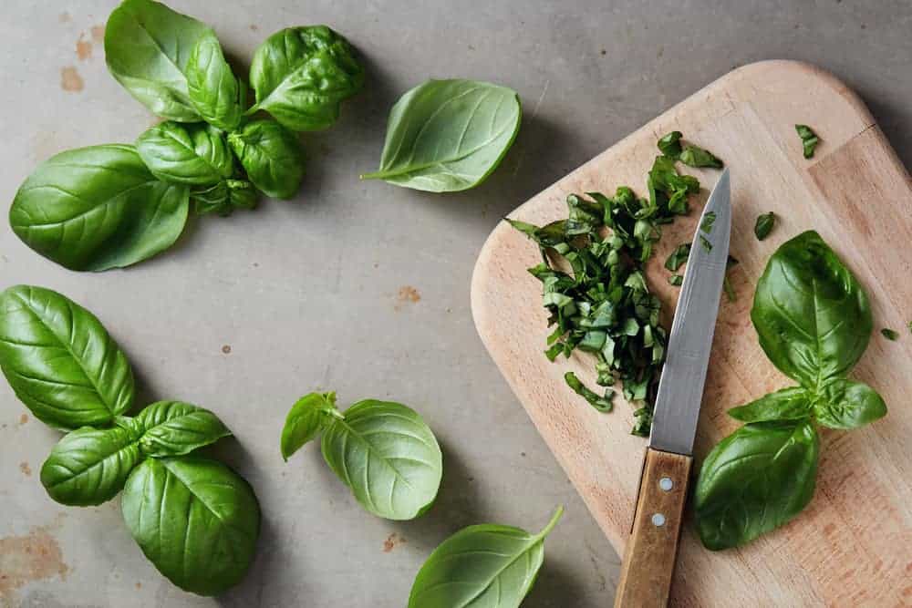 How to Store Fresh Basil