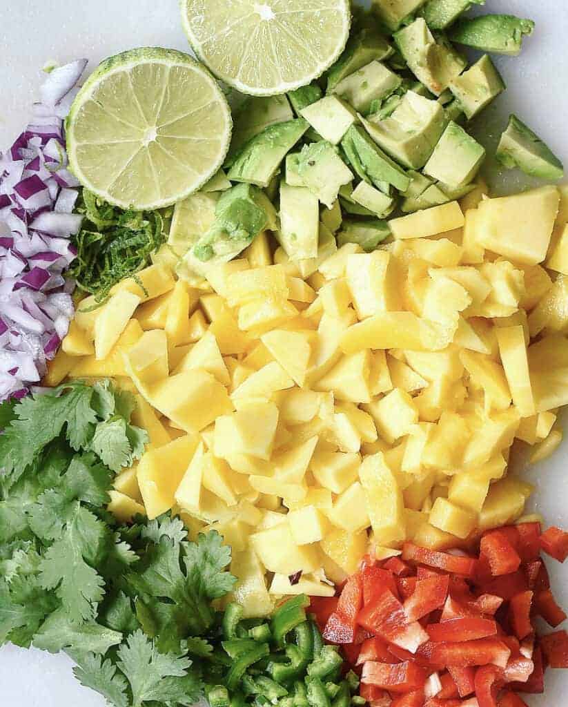 Vegan Jamaican Jerk Jackfruit with Fresh Mango Salsa