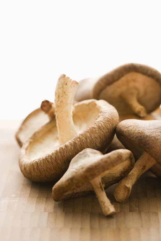 Shiitake Mushrooms