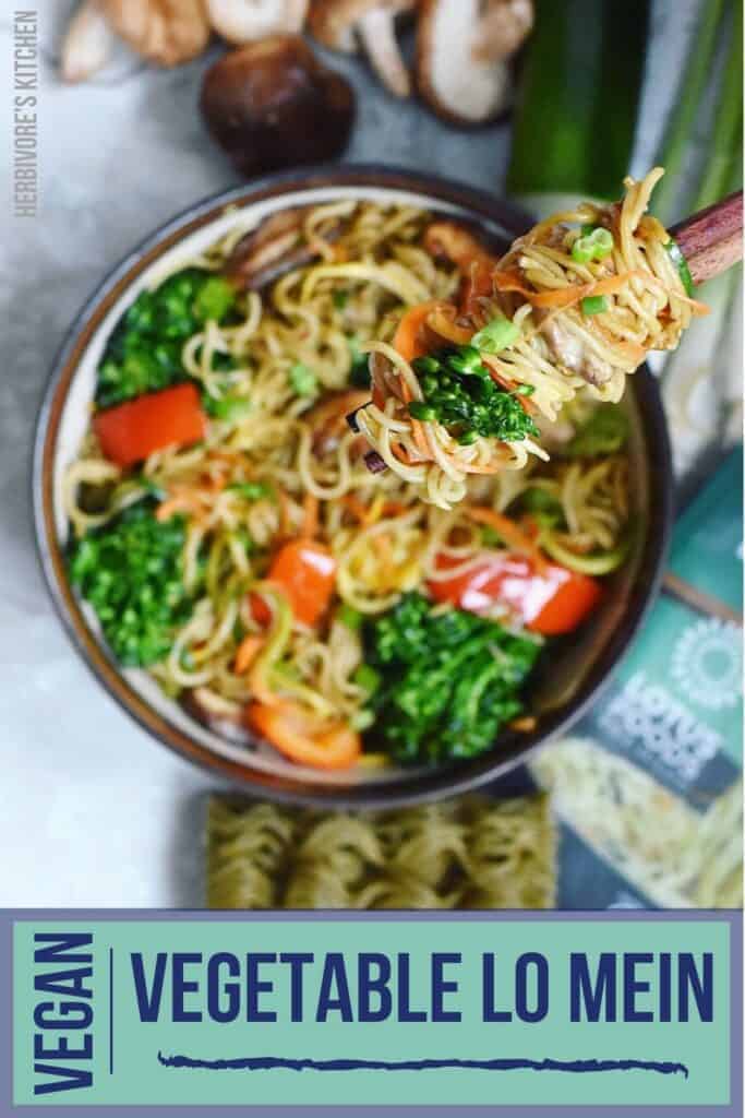 Vegetable Lo Mein The Ultimate in Vegan Chinese Food