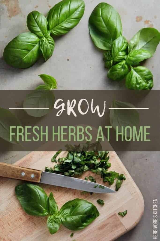 How to Grow Herbs at Home