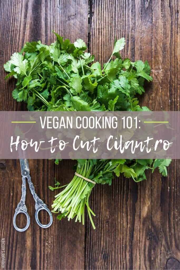 Vegan Cooking 101 How to Cut Cilantro