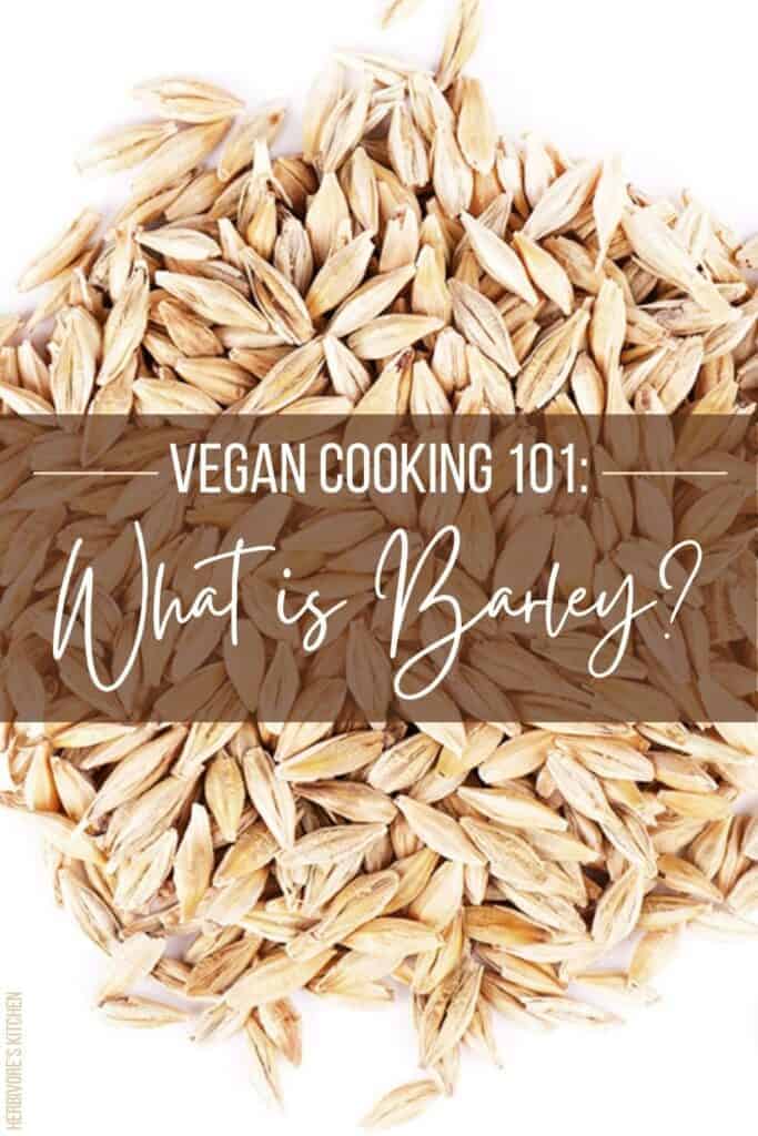 Vegan Cooking 101 What Is Barley?