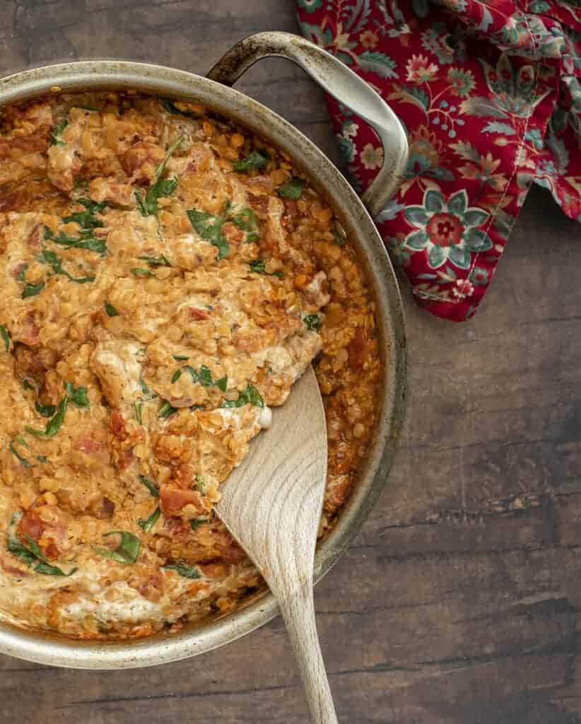 Stuffed Shells with Creamy Vegan Lentil Bolognese Sauce