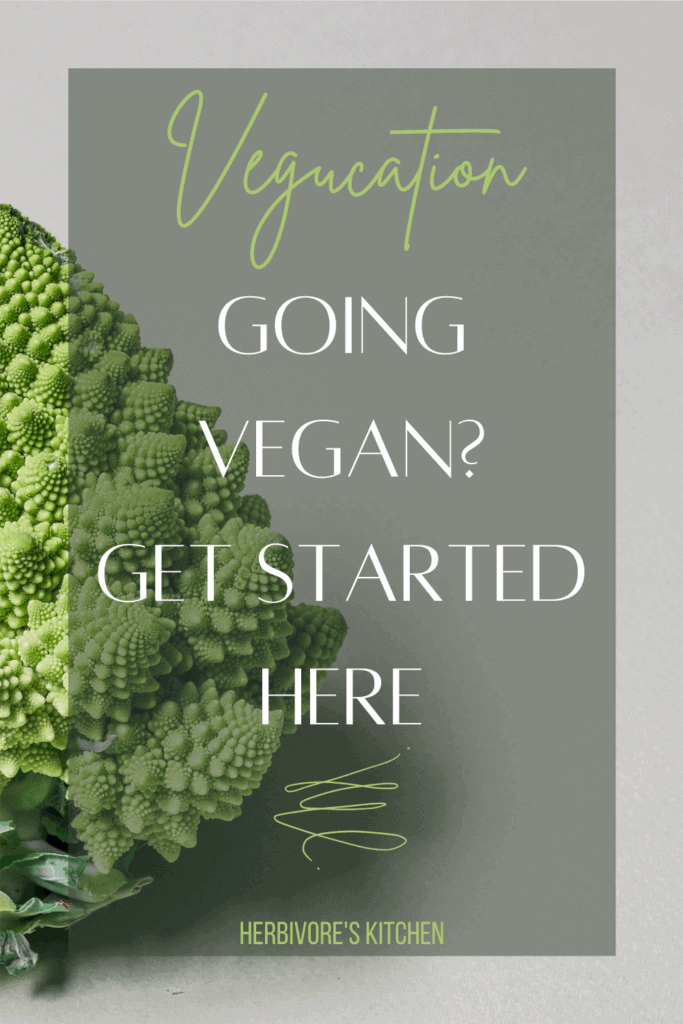 Learn How to Cook Amazing Vegan Meals