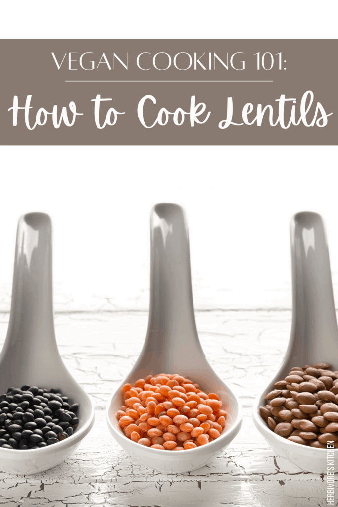 Vegan Cooking 101 How to Cook Lentils: Protein for Vegans