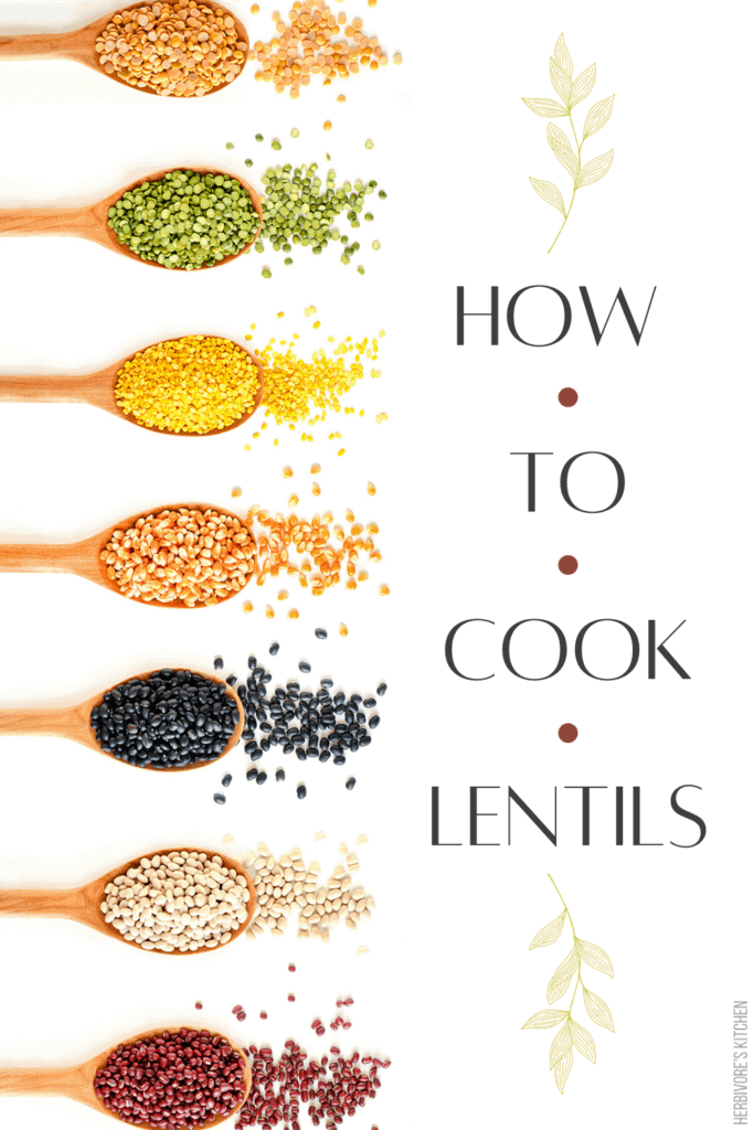 Vegan Cooking 101 How to Cook Lentils: Protein for Vegans