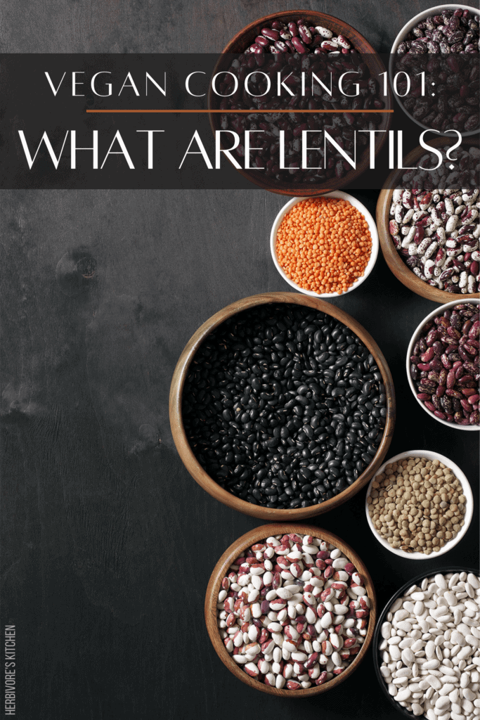 Vegan Cooking 101 How to Cook Lentils: Protein for Vegans