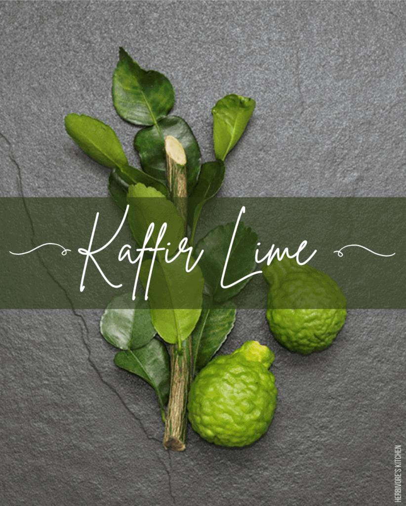 What Does Red Curry Taste Like? Kaffir Lime