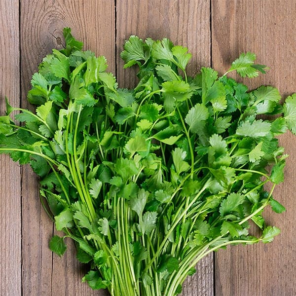 Toppings for Thai Red Curry Soup: Cilantro