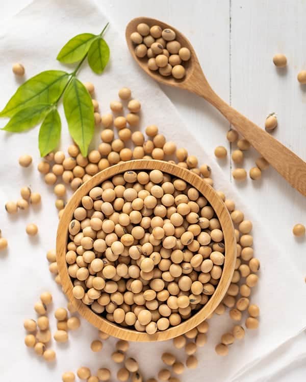 What Are Legumes Soybeans