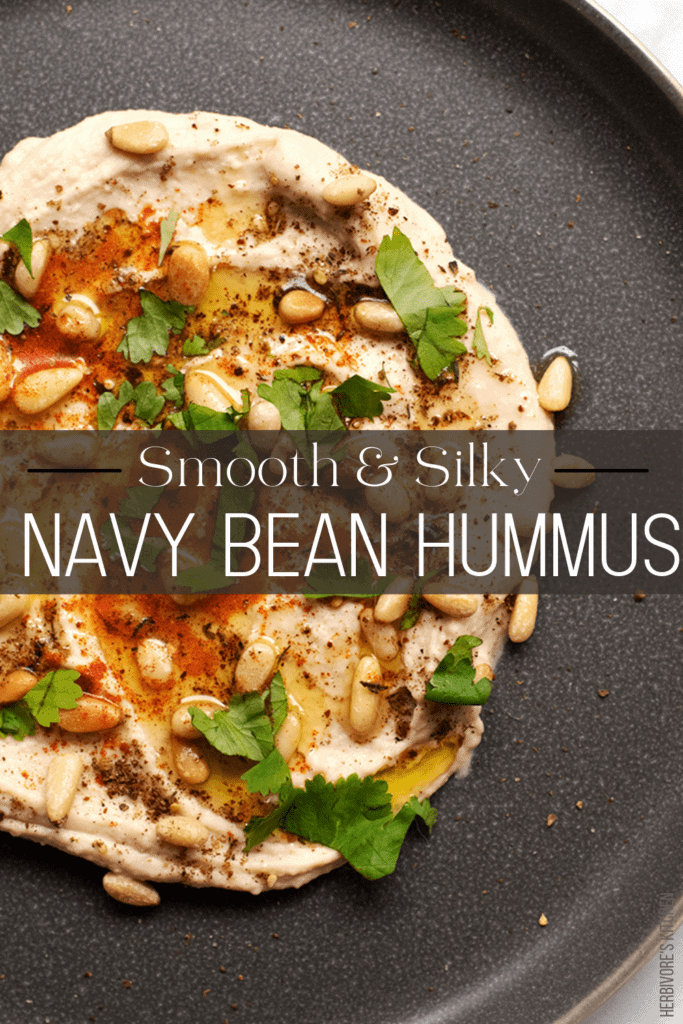 Navy Bean Hummus: Don’t Miss Out on White Bean Hummus -- One of the Best Alternative Hummus Recipes!