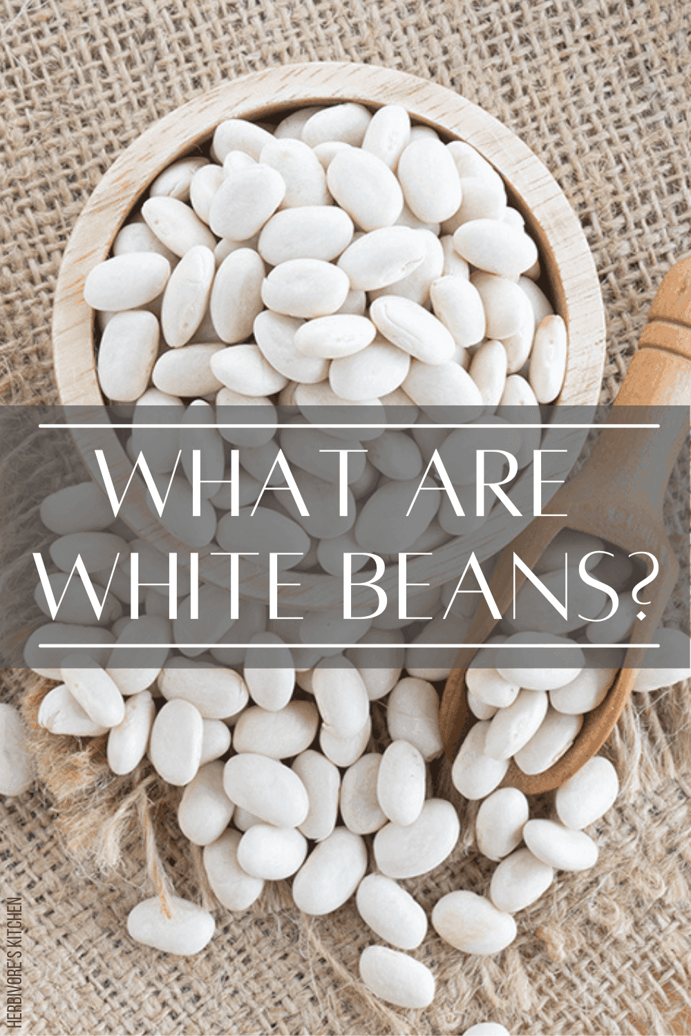 What Are White Beans 