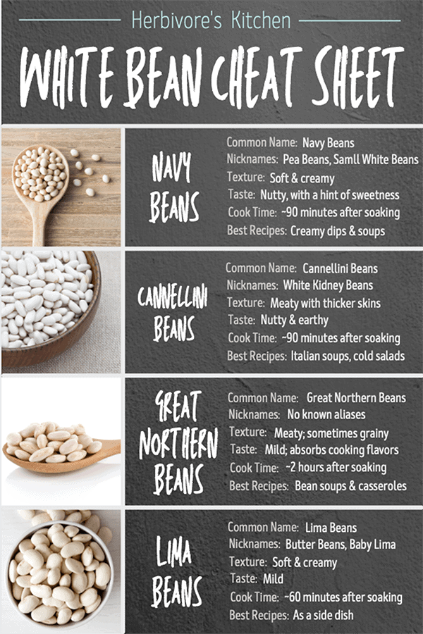 Different Types of White Beans