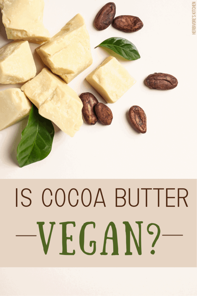 Is Cocoa Butter Vegan? Whether You Call It Cocoa Butter or Cacao Butter, This Cooking Fat Is Vegan