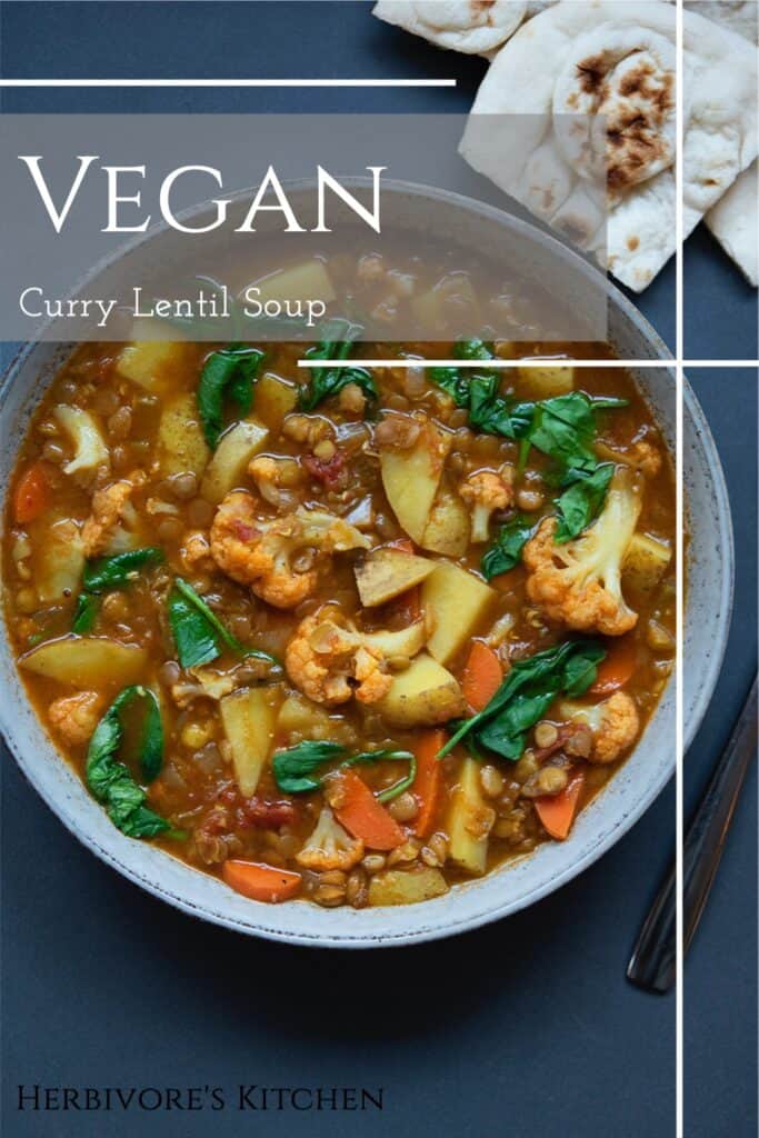 Vegan Curry Lentil Soup