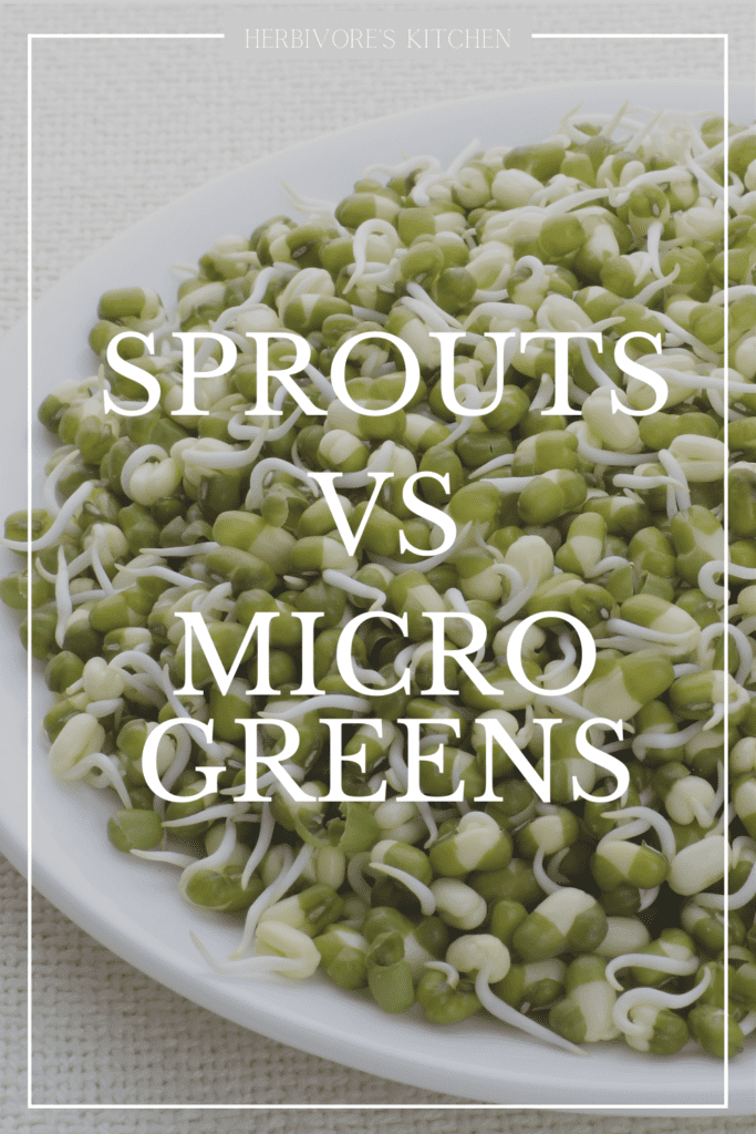 How to Grow Microgreens at Home: Microgreens versus Sprouts