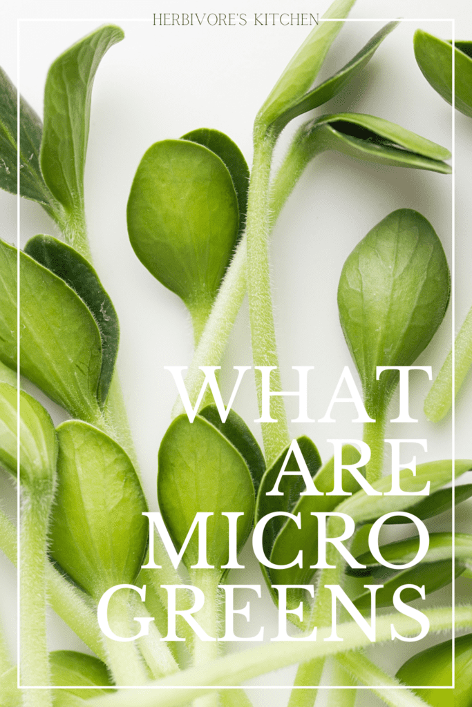 How to Grow Microgreens at Home: What Are Microgreens