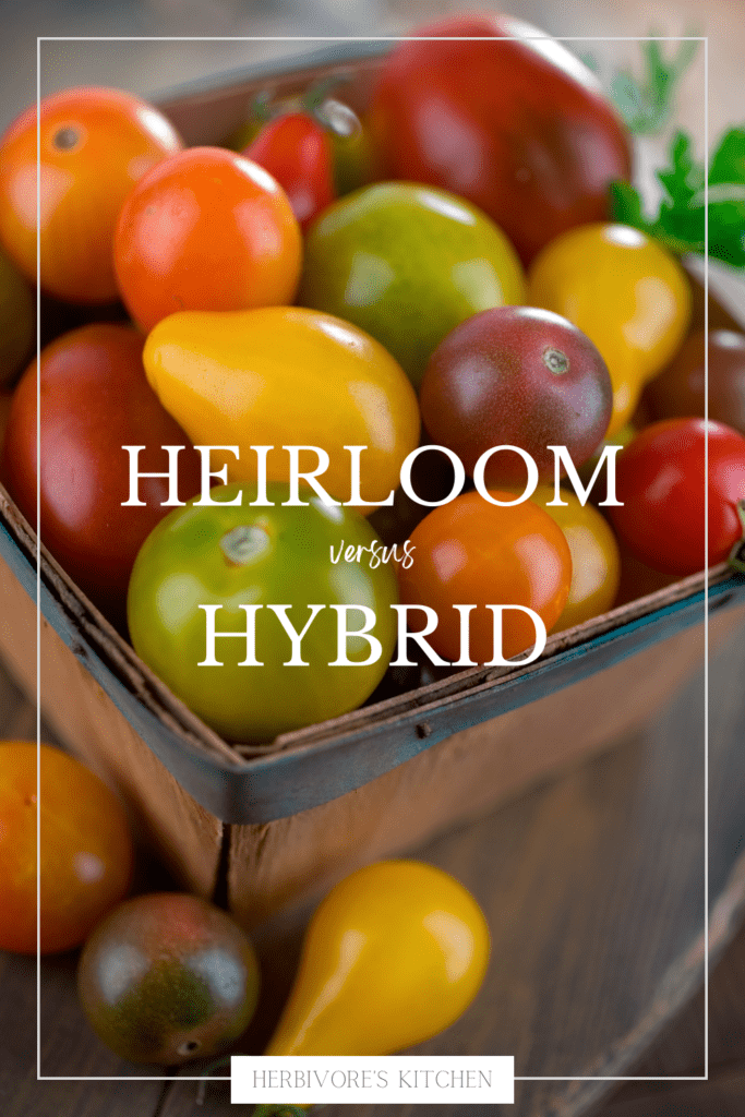 Heirloom vs Hybrid