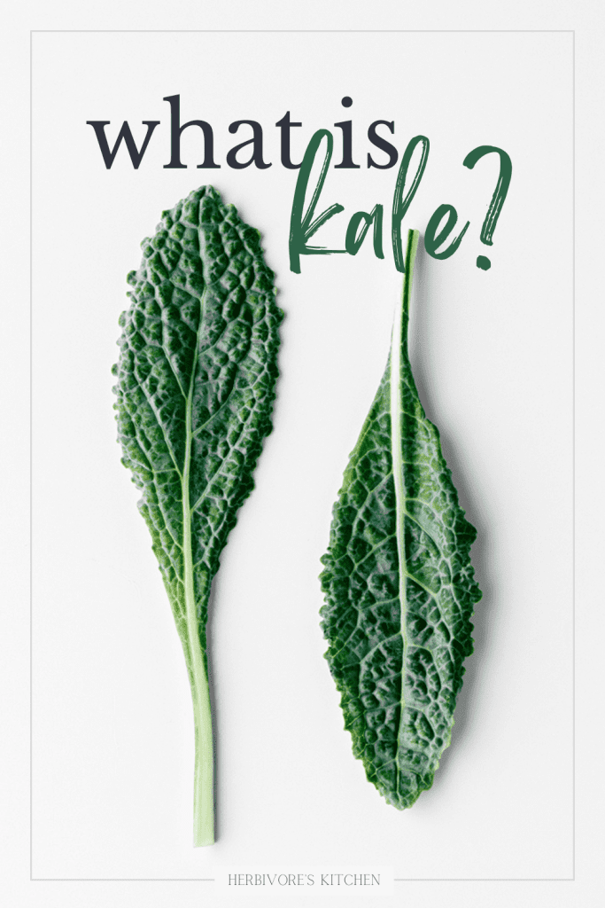 What to Do with Kale Discover What to Do with Kale, Nature’s Superfood Superstar